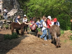 Di monte in monte